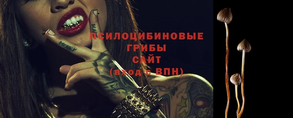 spice Лабытнанги