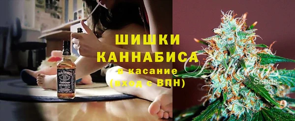 spice Лабытнанги