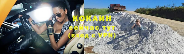 индика Ступино